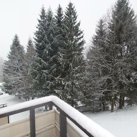 Ferienwohnung Mit Blick In Den Bayrischen Wald Oberhalb Von Sankt Engelmar Sankt Englmar Exterior photo