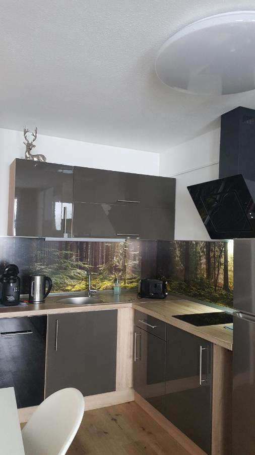 Ferienwohnung Mit Blick In Den Bayrischen Wald Oberhalb Von Sankt Engelmar Sankt Englmar Exterior photo