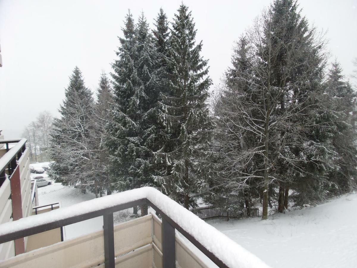 Ferienwohnung Mit Blick In Den Bayrischen Wald Oberhalb Von Sankt Engelmar Sankt Englmar Exterior photo