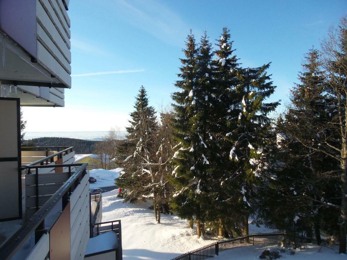 Ferienwohnung Mit Blick In Den Bayrischen Wald Oberhalb Von Sankt Engelmar Sankt Englmar Exterior photo